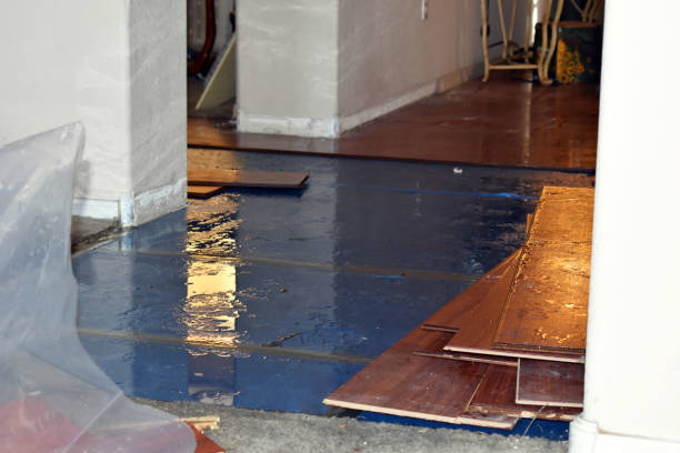 Professional Burst Pipe Cleanup technician working in Orleans, MI